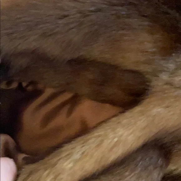 Aqua Brown Faux Fur Coat Mink Look Satin Lining Jacket Size Small - Picture 9 of 10